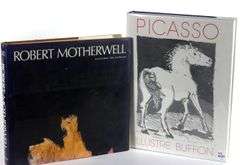 PICASSO & MOTHERWELL ART VOLUMES