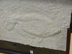 TWO INTERESTING FRAMED ITEMS