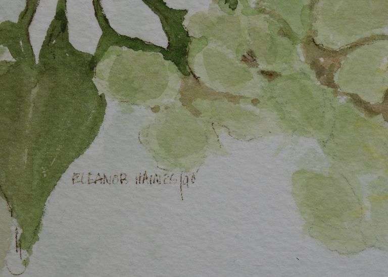 ELEANOR HAINES WATERCOLOUR