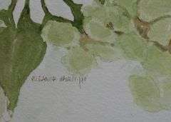 ELEANOR HAINES WATERCOLOUR