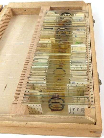 PREPARED MICROSCOPE SLIDES