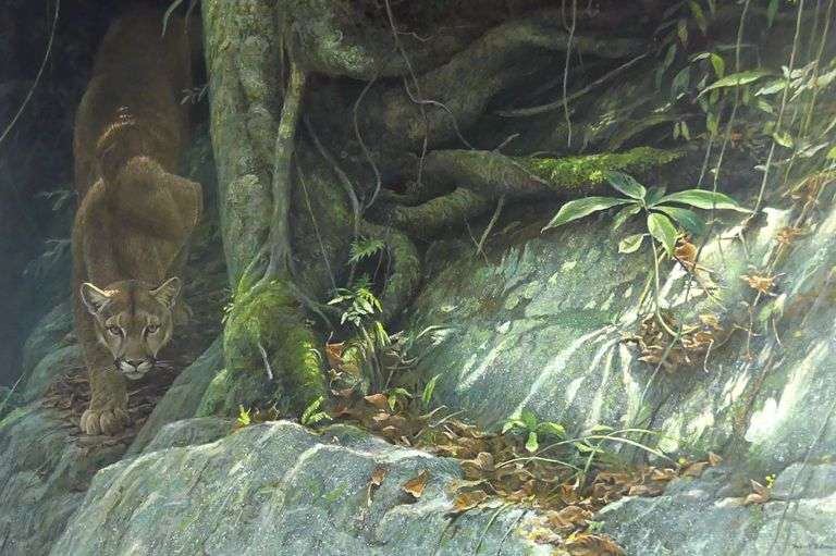 ROBERT BATEMAN