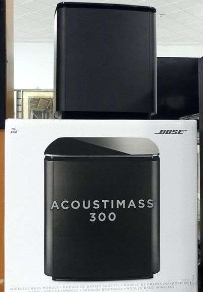 BOSE MODULE SPEAKER
