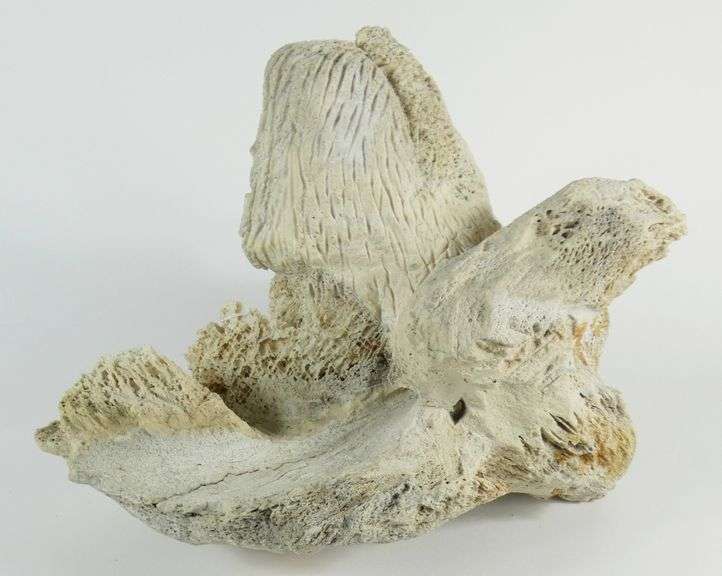 MAJOR WHALEBONE CARVING