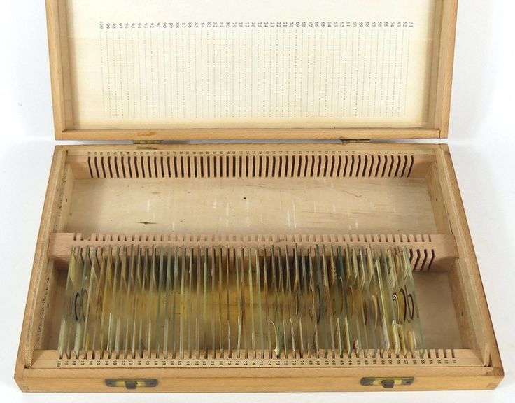 PREPARED MICROSCOPE SLIDES