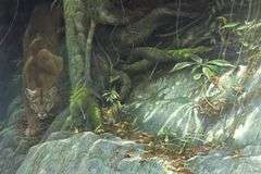 ROBERT BATEMAN