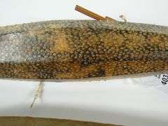 2 VINTAGE KAYAK MODELS