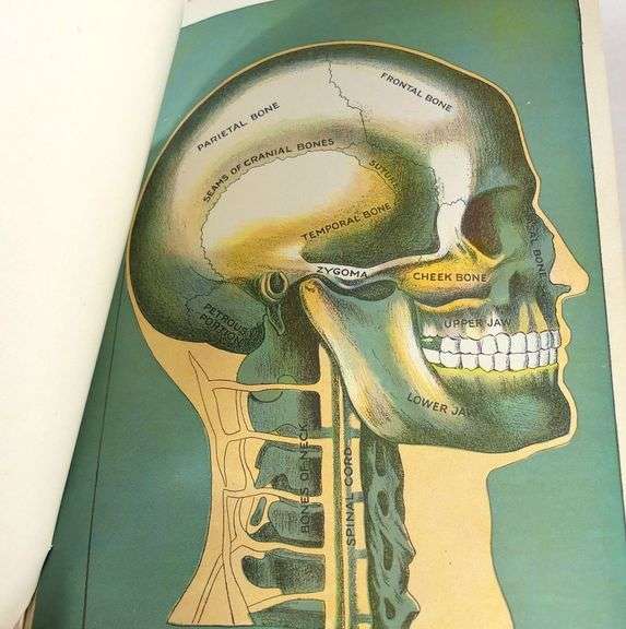 HEALTH KNOWLEDGE: THE MOST ESSENTIAL THING IN LIFE
