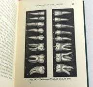 THE MOUTH AND THE TEETH 1879 FIRST EDITION