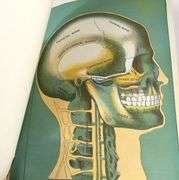 HEALTH KNOWLEDGE: THE MOST ESSENTIAL THING IN LIFE