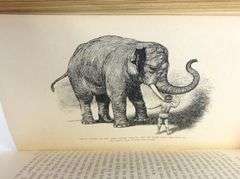 THE JUNGLE BOOK BY RUDYARD KIPLING