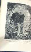 THE JUNGLE BOOK BY RUDYARD KIPLING
