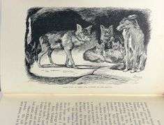 THE JUNGLE BOOK BY RUDYARD KIPLING