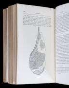 THE MODERN HOUSEWIFE, 1851 AMERICAN VOLUME