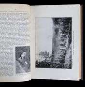 CANADA YEARBOOK 1914