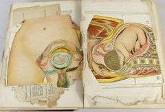 HEALTH KNOWLEDGE: THE MOST ESSENTIAL THING IN LIFE