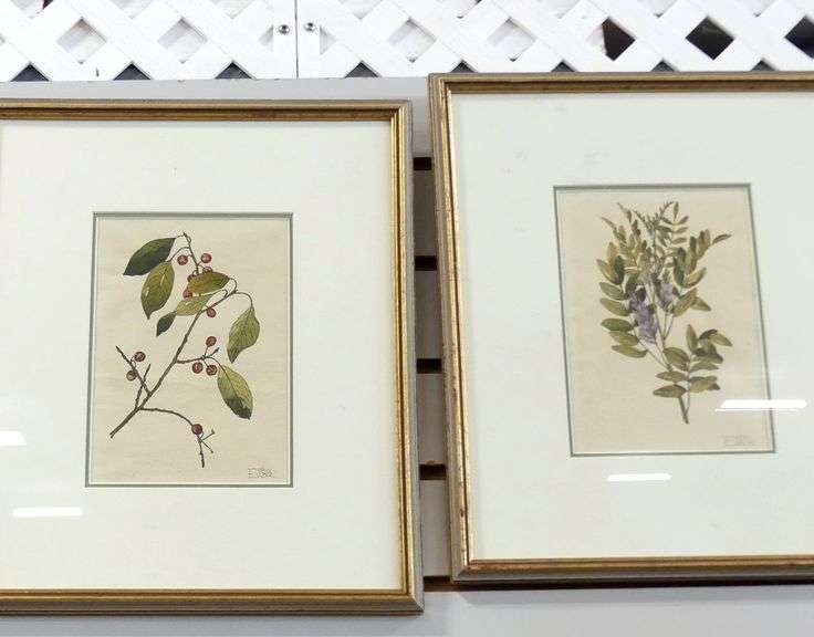 SIX FRAMED "BOTANICAL" WATERCOLOURS