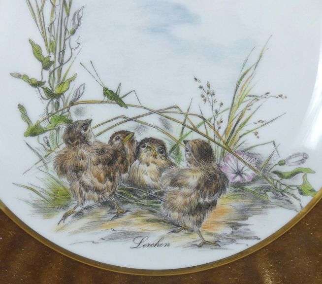 PAIR HAND-PAINTED BONE CHINA PLATES