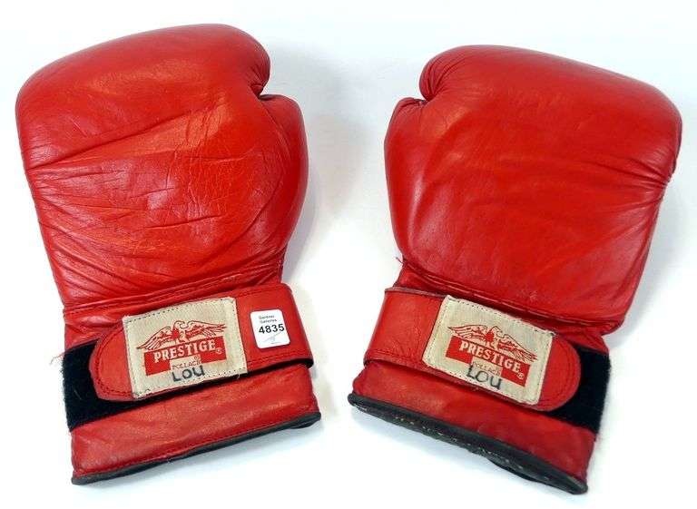 VINTAGE BOXING GLOVES
