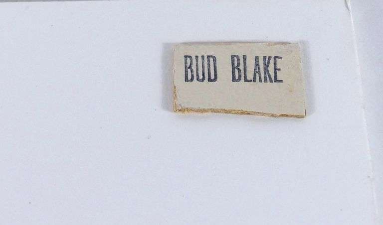 BUD BLAKE COMIC STRIP