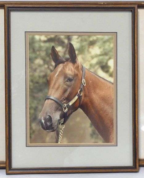 TWO FRAMED HORSE PHOTOGRAPHS