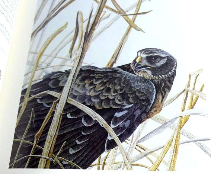 GARY LOW LITHOGRAPH & BOOK