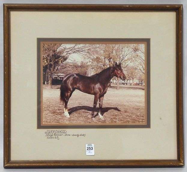 TWO FRAMED HORSE PHOTOGRAPHS