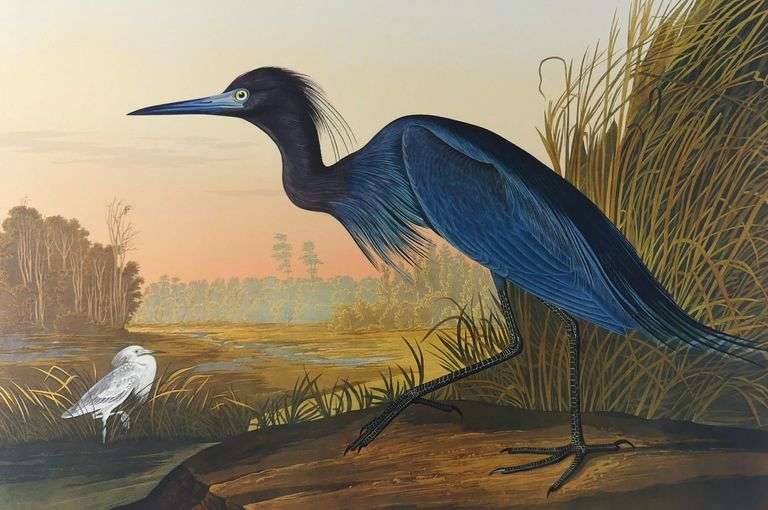 JOHN JAMES AUDUBON FOLIOS