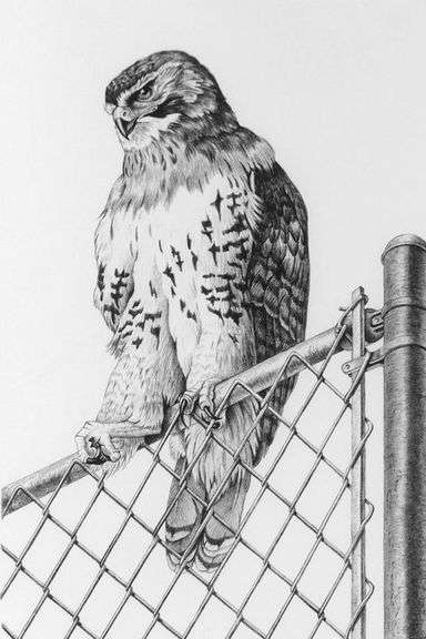 GARY LOW LITHOGRAPH & BOOK