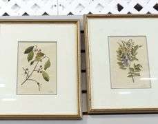 SIX FRAMED "BOTANICAL" WATERCOLOURS