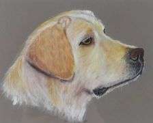 ANIMAL PRINTS & DRAWINGS