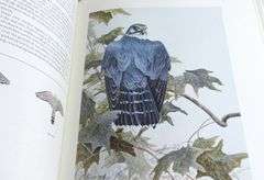 GARY LOW LITHOGRAPH & BOOK