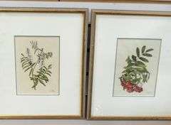 SIX FRAMED "BOTANICAL" WATERCOLOURS