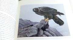 GARY LOW LITHOGRAPH & BOOK