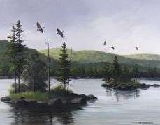 WILLIAM (BILL) SAUNDERS