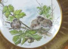 PAIR HAND-PAINTED BONE CHINA PLATES