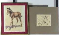 ANIMAL PRINTS & DRAWINGS