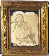 ANIMAL PRINTS & DRAWINGS