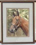 TWO FRAMED HORSE PHOTOGRAPHS