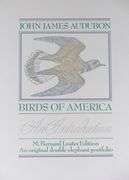 JOHN JAMES AUDUBON FOLIOS
