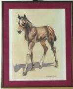 ANIMAL PRINTS & DRAWINGS