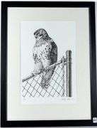 GARY LOW LITHOGRAPH & BOOK