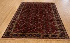 SHIRVAN RUG