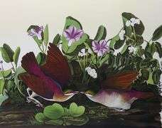 JOHN JAMES AUDUBON FOLIOS