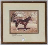TWO FRAMED HORSE PHOTOGRAPHS
