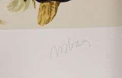 JOHN JAMES AUDUBON FOLIOS