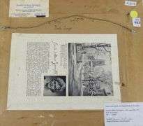 JUANITA LE BARRE SYMINGTON