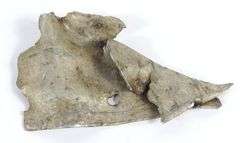 FRAGMENT FROM THE SECRET FIGHTER JET CF-100 AVRO CANUCK