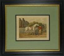 SET 6 EQUESTRIAN & HUNTING PRINTS