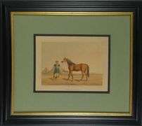 SET 6 EQUESTRIAN & HUNTING PRINTS